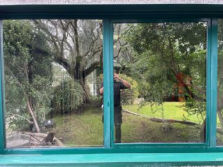 Trattamento anti calcare 💯.